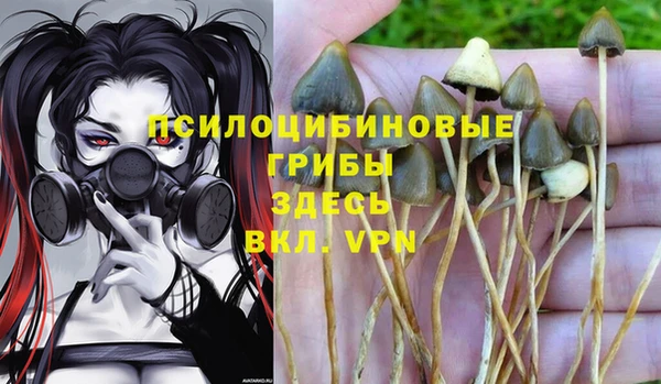 амф Зеленодольск