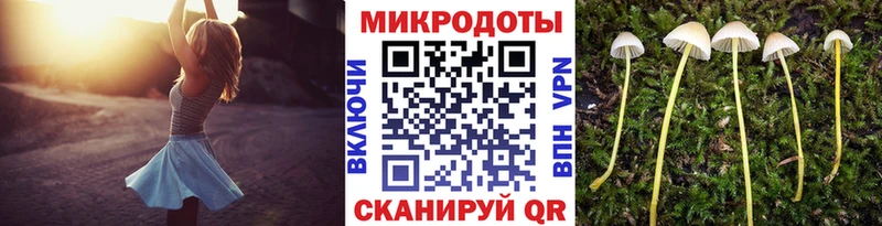 Галлюциногенные грибы Cubensis  Купить  Выкса 
