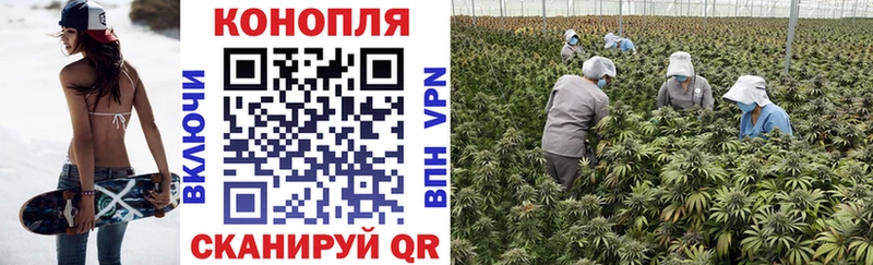 Шишки марихуана ГИДРОПОН  Купить  Выкса 